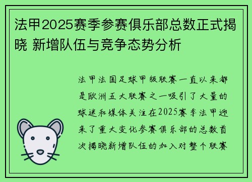 法甲2025赛季参赛俱乐部总数正式揭晓 新增队伍与竞争态势分析