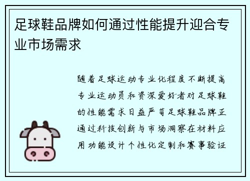 足球鞋品牌如何通过性能提升迎合专业市场需求